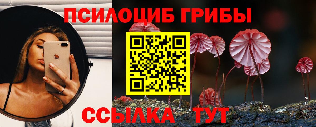 Астрахань  Галлюциногенные грибы GOLDEN TEACHER  Вход с VPN 
